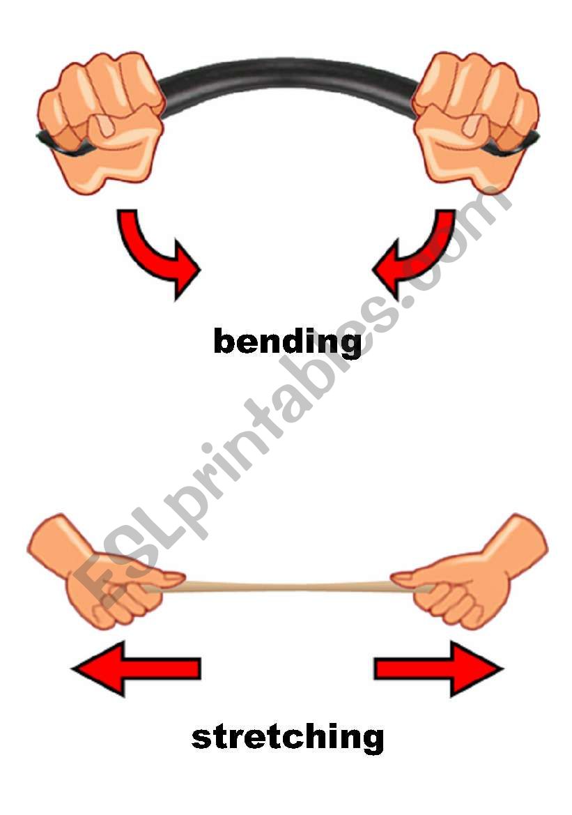 Actions: bending, stretching    [1 of 4]